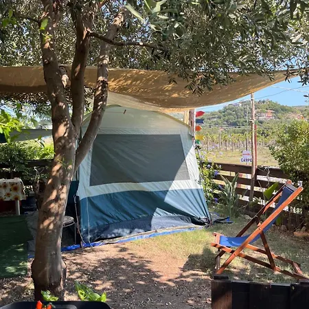 La Volpe Di Agropoli